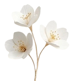 Flores derecha